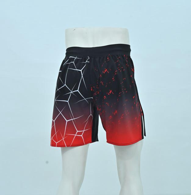 ALPHAthlete Gladiator - MMA Shorts