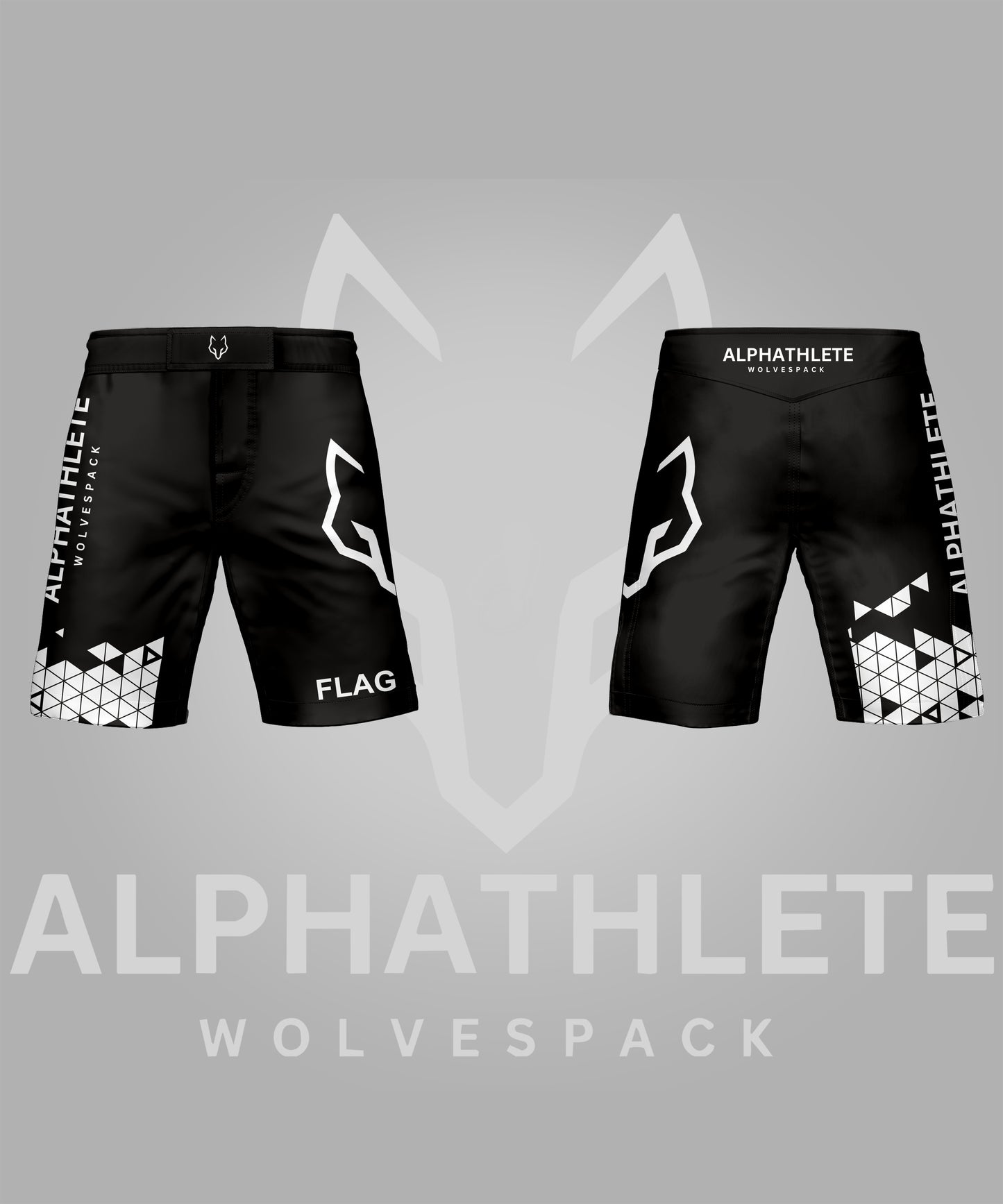 GRIDLOCK - MMA SHORTS