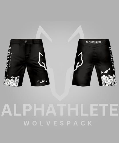 GRIDLOCK - MMA SHORTS
