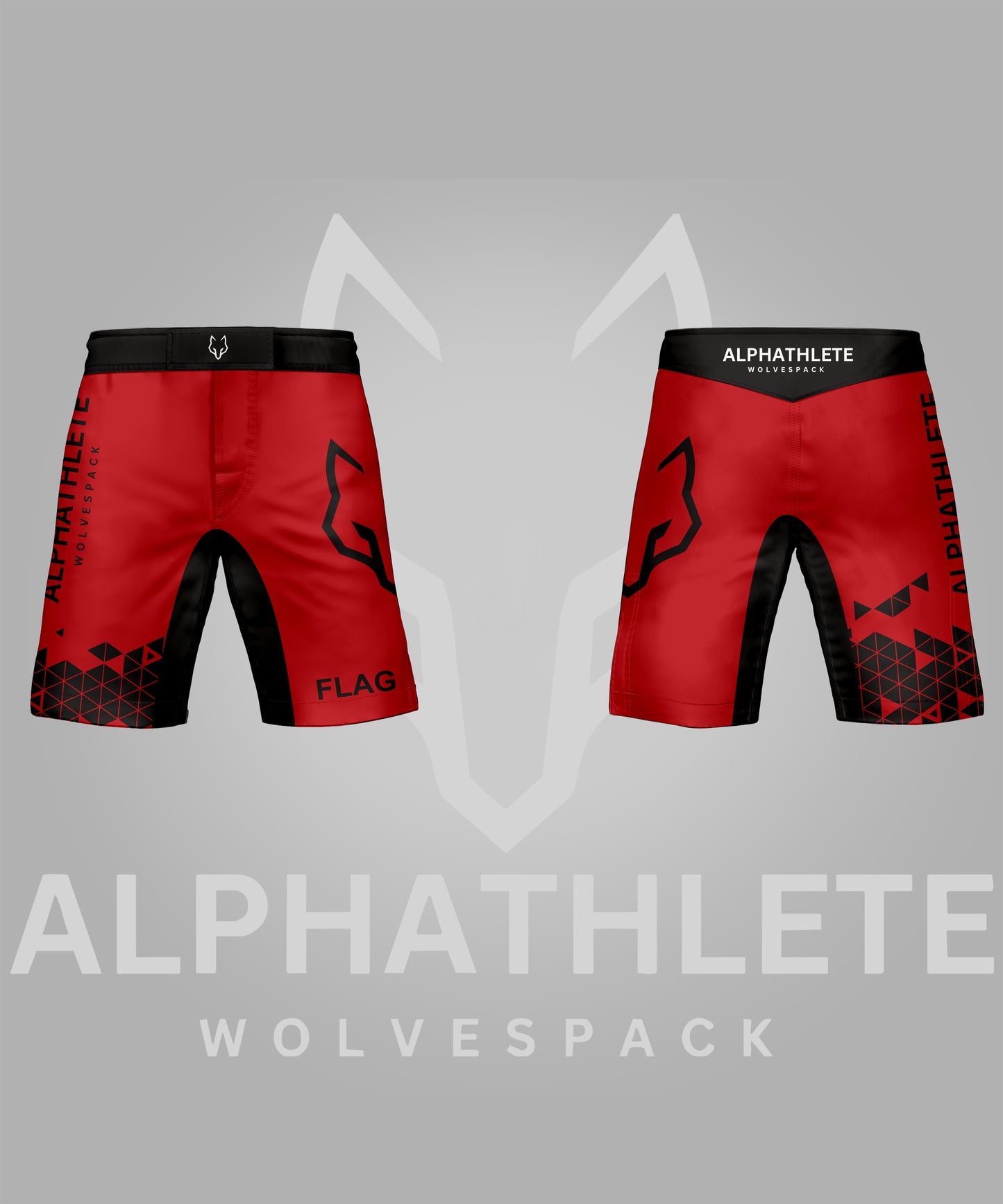 GRIDLOCK - MMA SHORTS