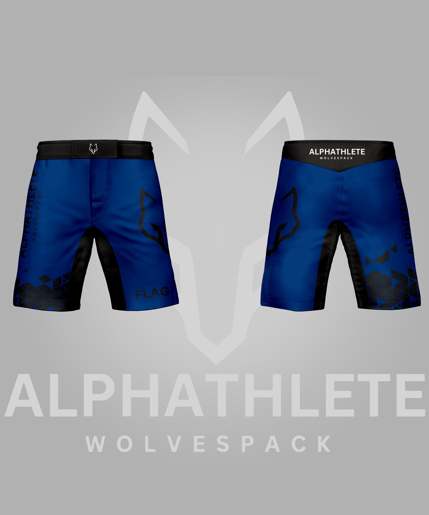 GRIDLOCK - MMA SHORTS