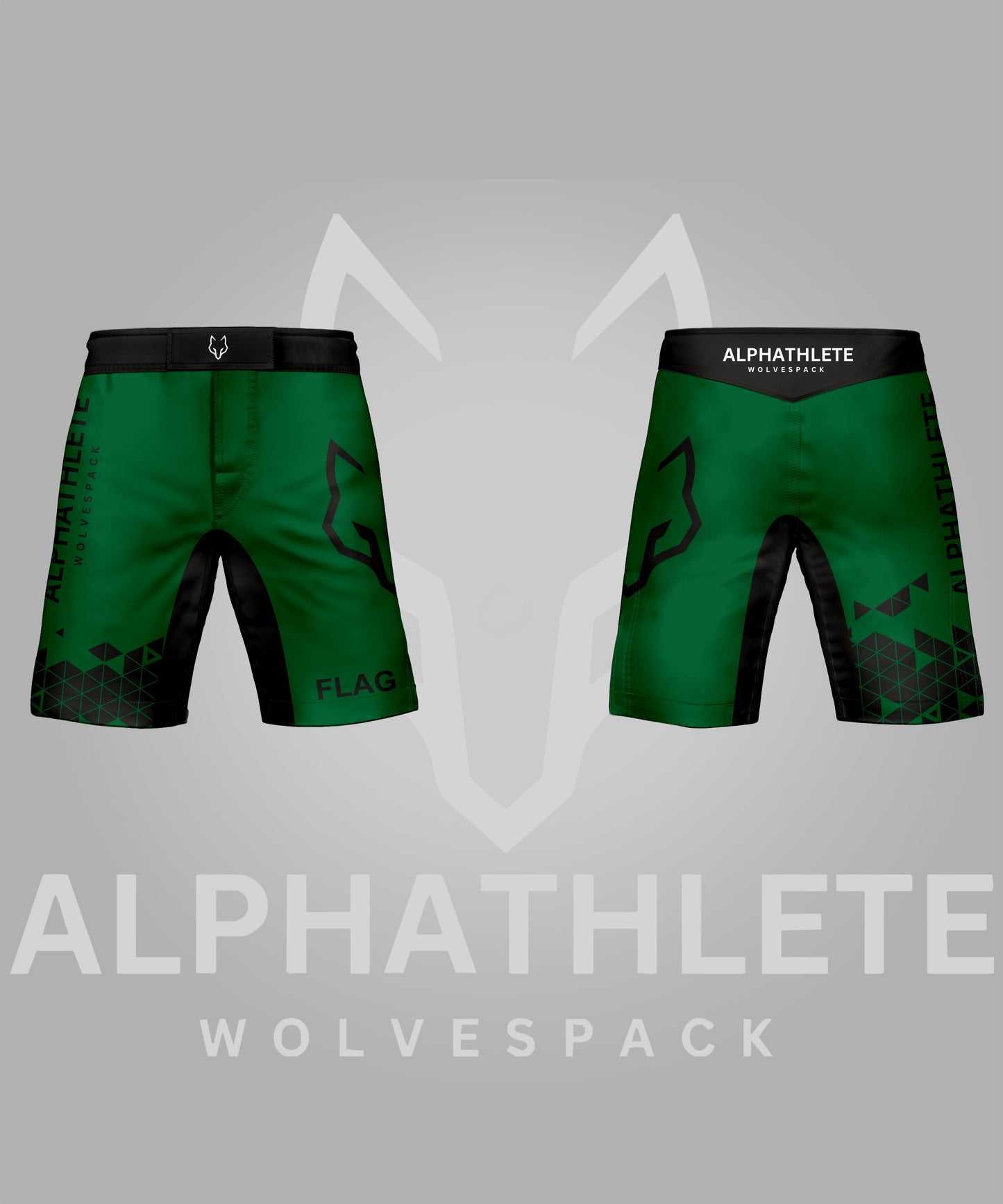 GRIDLOCK - MMA SHORTS