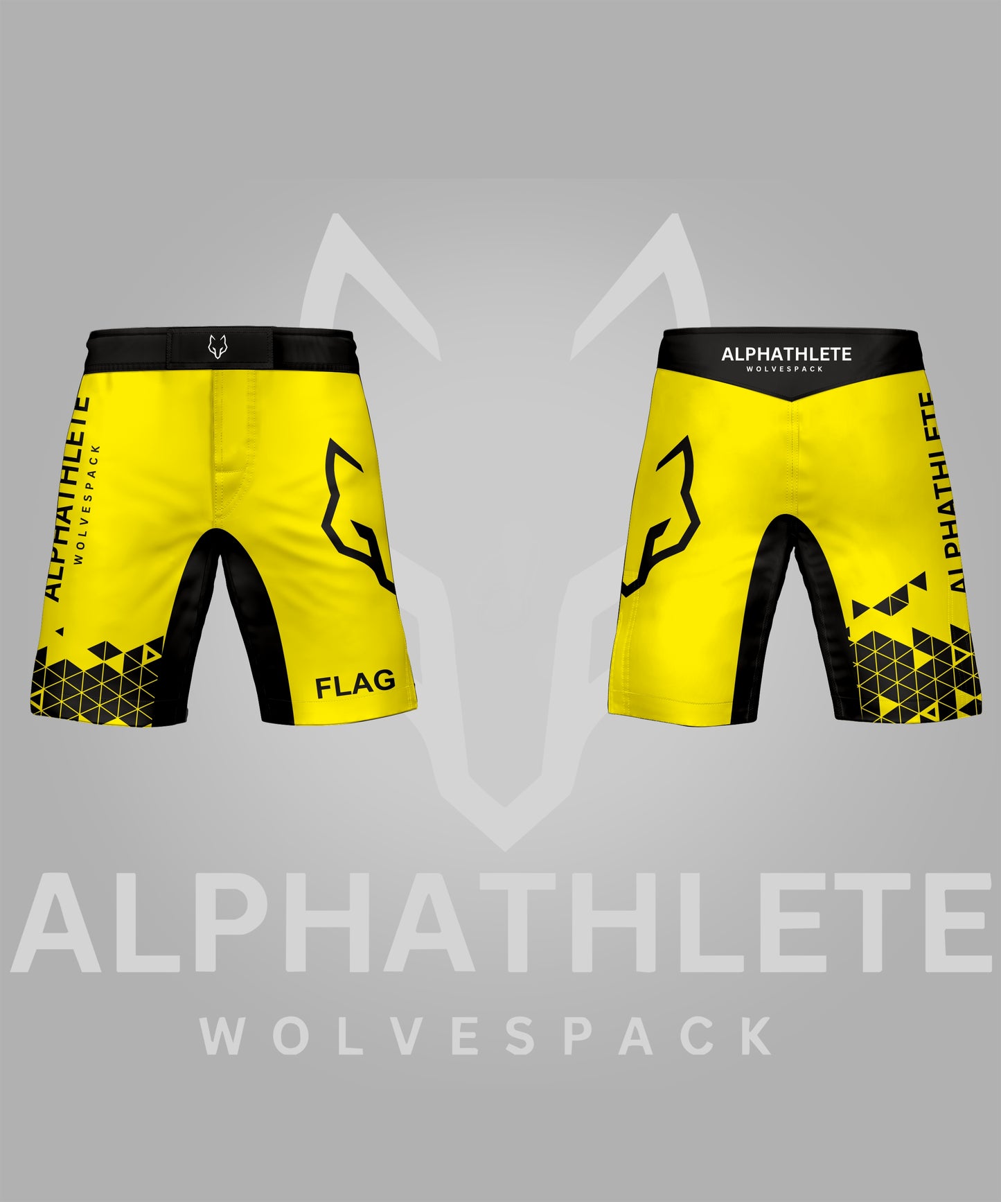 GRIDLOCK - MMA SHORTS