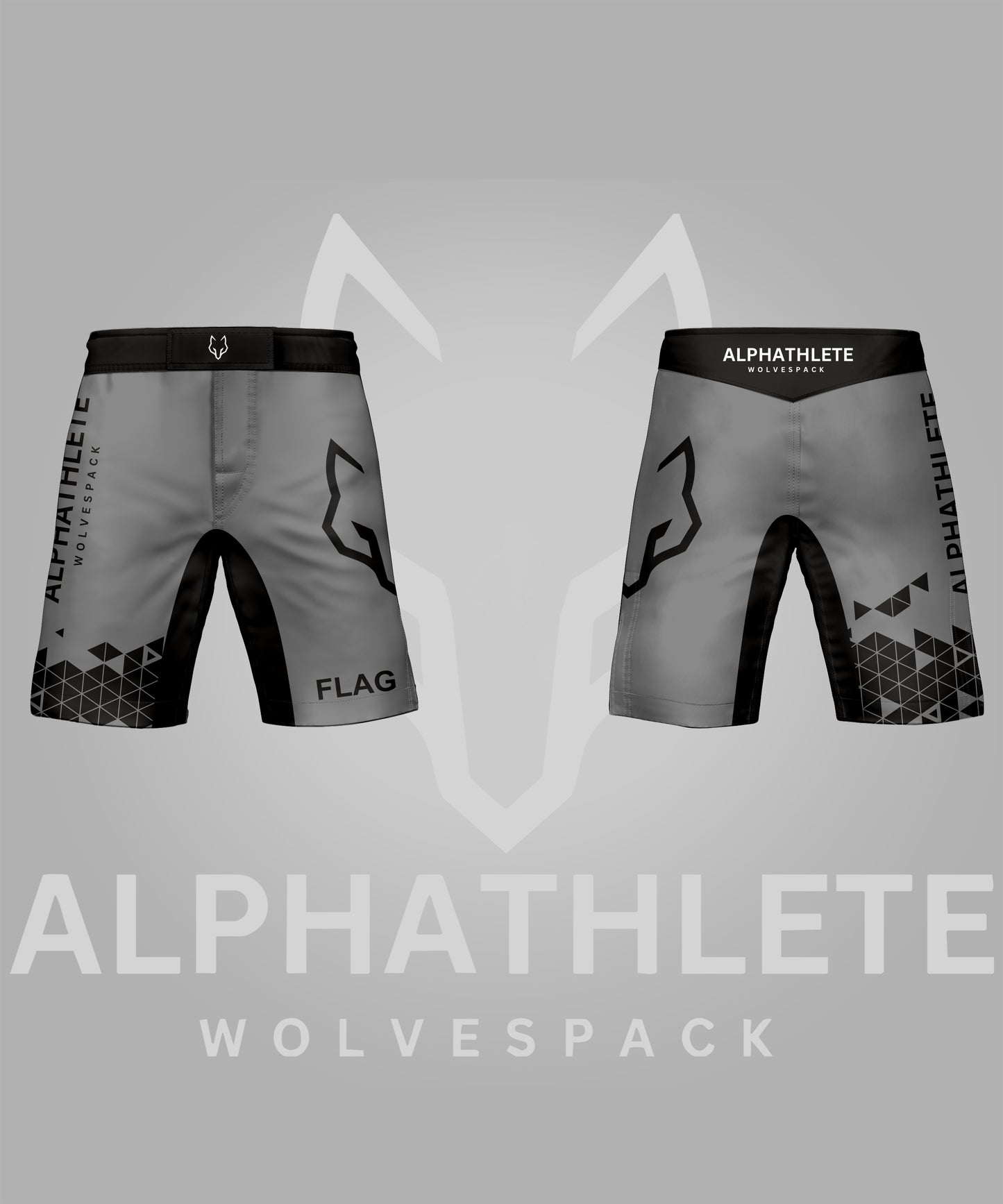 GRIDLOCK - MMA SHORTS