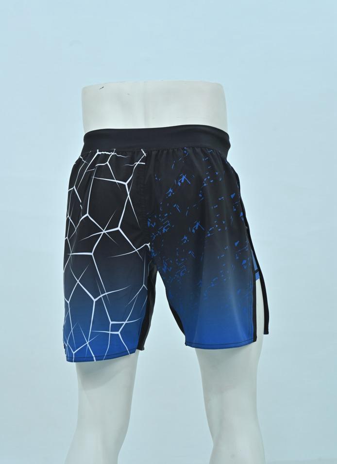 ALPHAthlete Gladiator - MMA Shorts